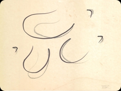 Matita e china su cartoncino
Man Ray 
Il surrealismo del grande fotografo
si traduce in forme che segnano il flusso del pensiero
